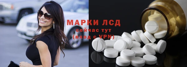 крисы Алзамай