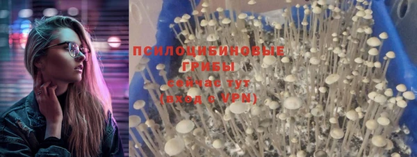 Альфа ПВП Алексин