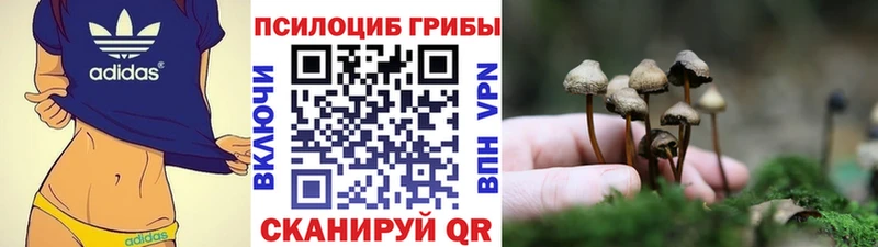 Галлюциногенные грибы мицелий  цены наркотик  Пласт 