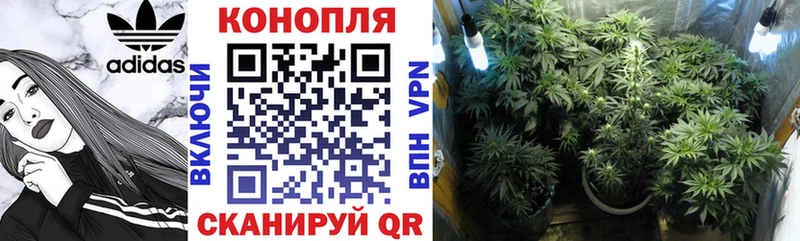 Канабис THC 21%  где купить наркоту  Пласт 